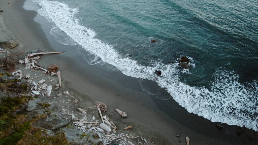 aerial drone shot view of ocean and driftwood