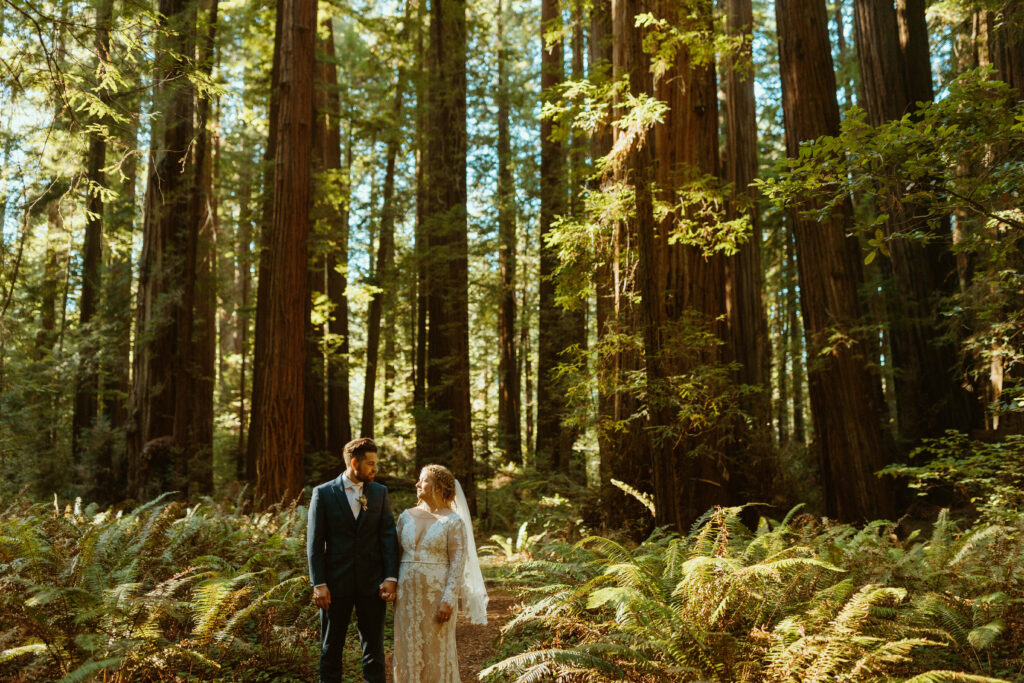 elopement couple standing in redwood forest 